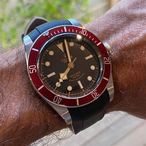 tudor black bay red rose